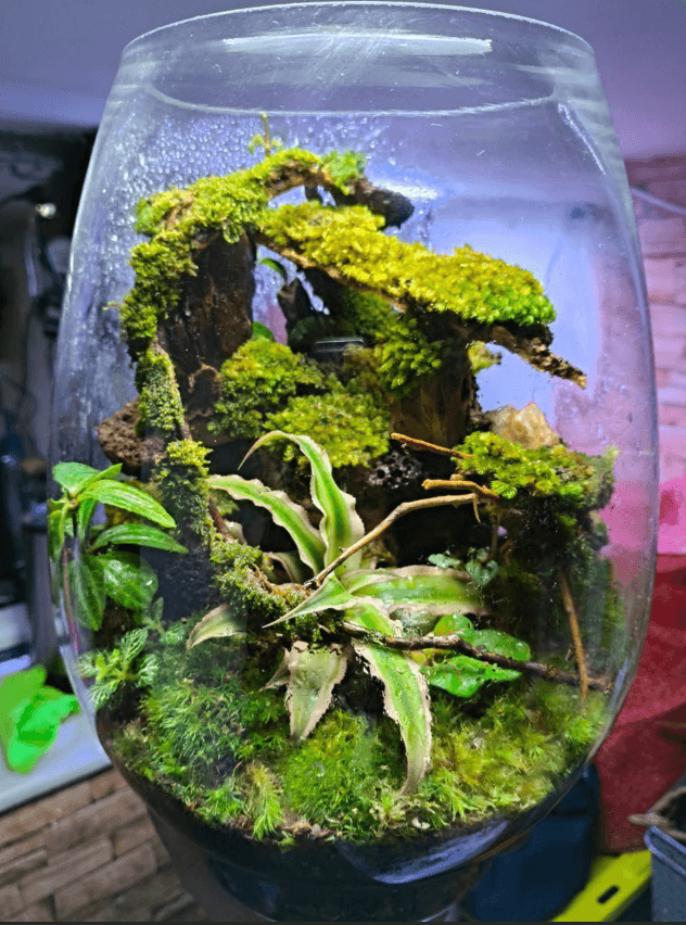 Main Product